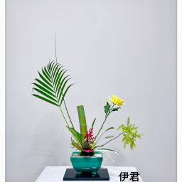 課程圖片